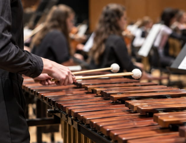 Closeup of a marimba player holding mallets over a marimba in an orchestra performance